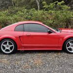 1999 Ford Mustang SVT Cobra - Photo 10 of 33
