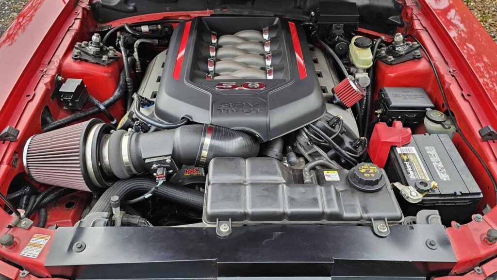 1999 Ford Mustang SVT Cobra - Photo 15 of 33