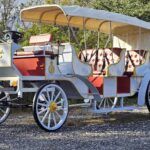 2025 Spirit Horseless Carriage  Electric Cart - Photo 1 of 22