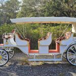 2025 Spirit Horseless Carriage  Electric Cart - Photo 2 of 22