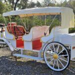 2025 Spirit Horseless Carriage  Electric Cart - Photo 3 of 22