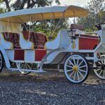 2025 Spirit Horseless Carriage  Electric Cart - Photo 4 of 22