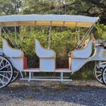 2025 Spirit Horseless Carriage  Electric Cart - Photo 5 of 22