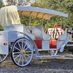 2025 Spirit Horseless Carriage  Electric Cart - Photo 6 of 22