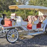 2025 Spirit Horseless Carriage  Electric Cart - Photo 7 of 22