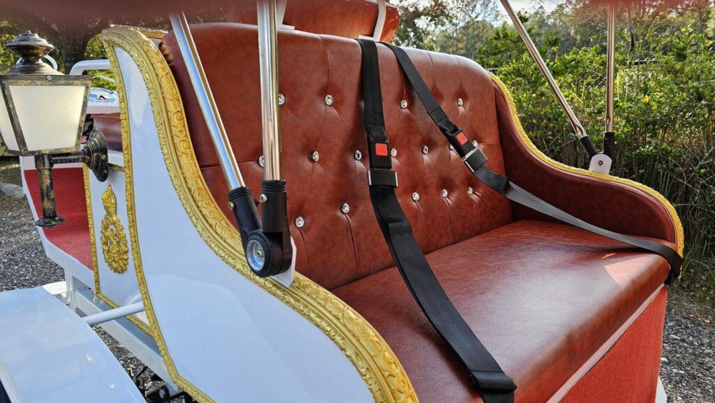 2025 Spirit Horseless Carriage  Electric Cart - Photo 10 of 22