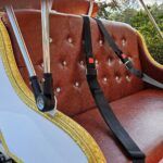 2025 Spirit Horseless Carriage  Electric Cart - Photo 10 of 22