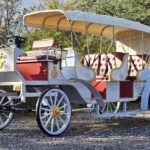 2025 Spirit Horseless Carriage  Electric Cart - Photo 21 of 22