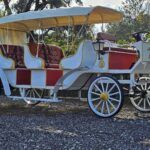 2025 Spirit Horseless Carriage  Electric Cart - Photo 22 of 22